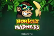Monkey-Madness